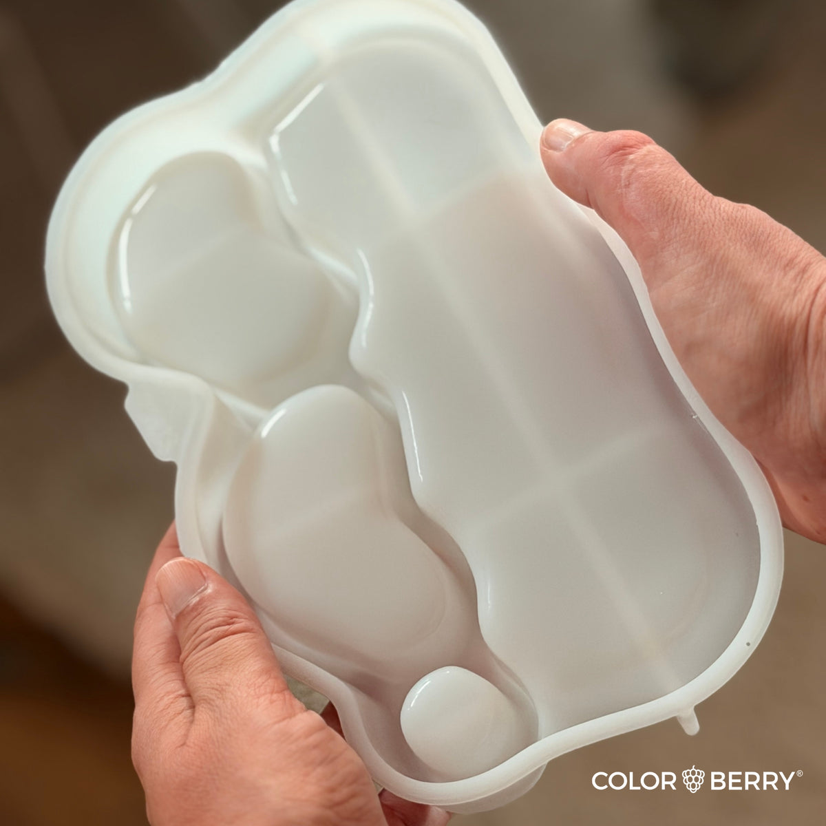 JESIN StarterSet CLOUD TRAY - COLORBERRY & JESIN