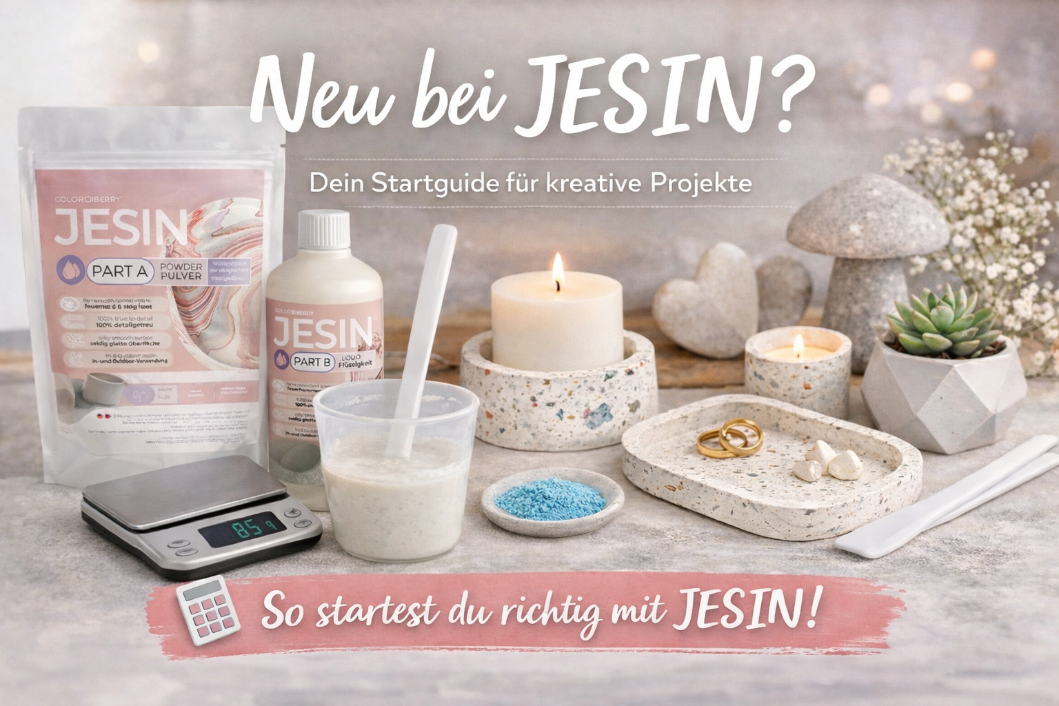 Neu bei COLORBERRY? So gelingt dein erster Start mit JESIN