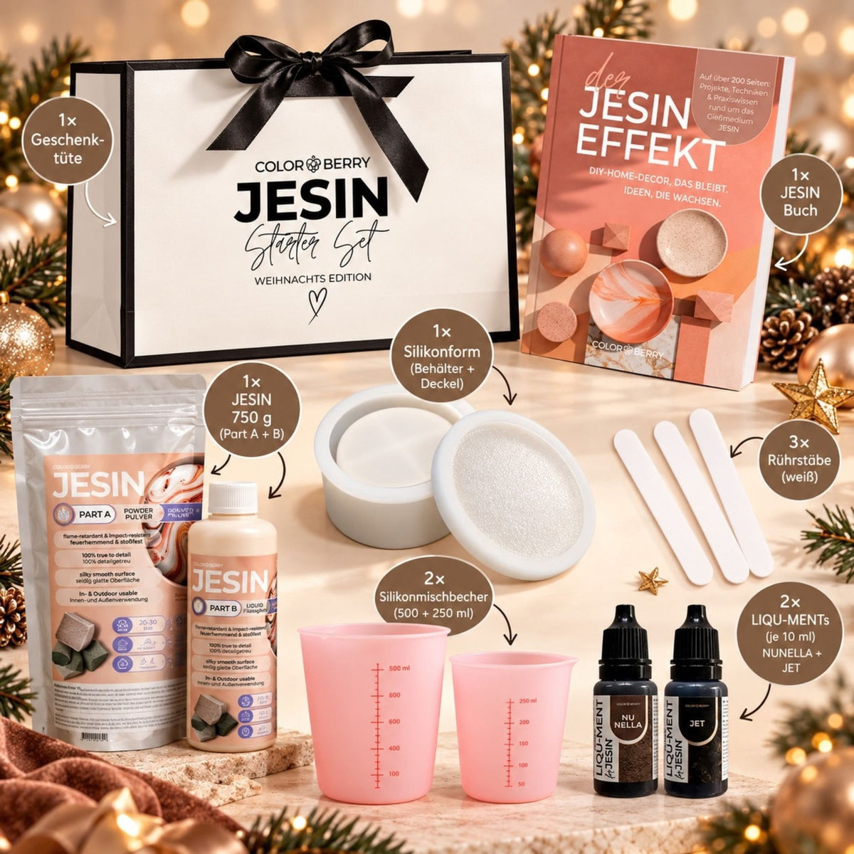 JESIN Starter Set Weihnachts Edition – Gießset mit Buch, Farben &amp; Silikonform