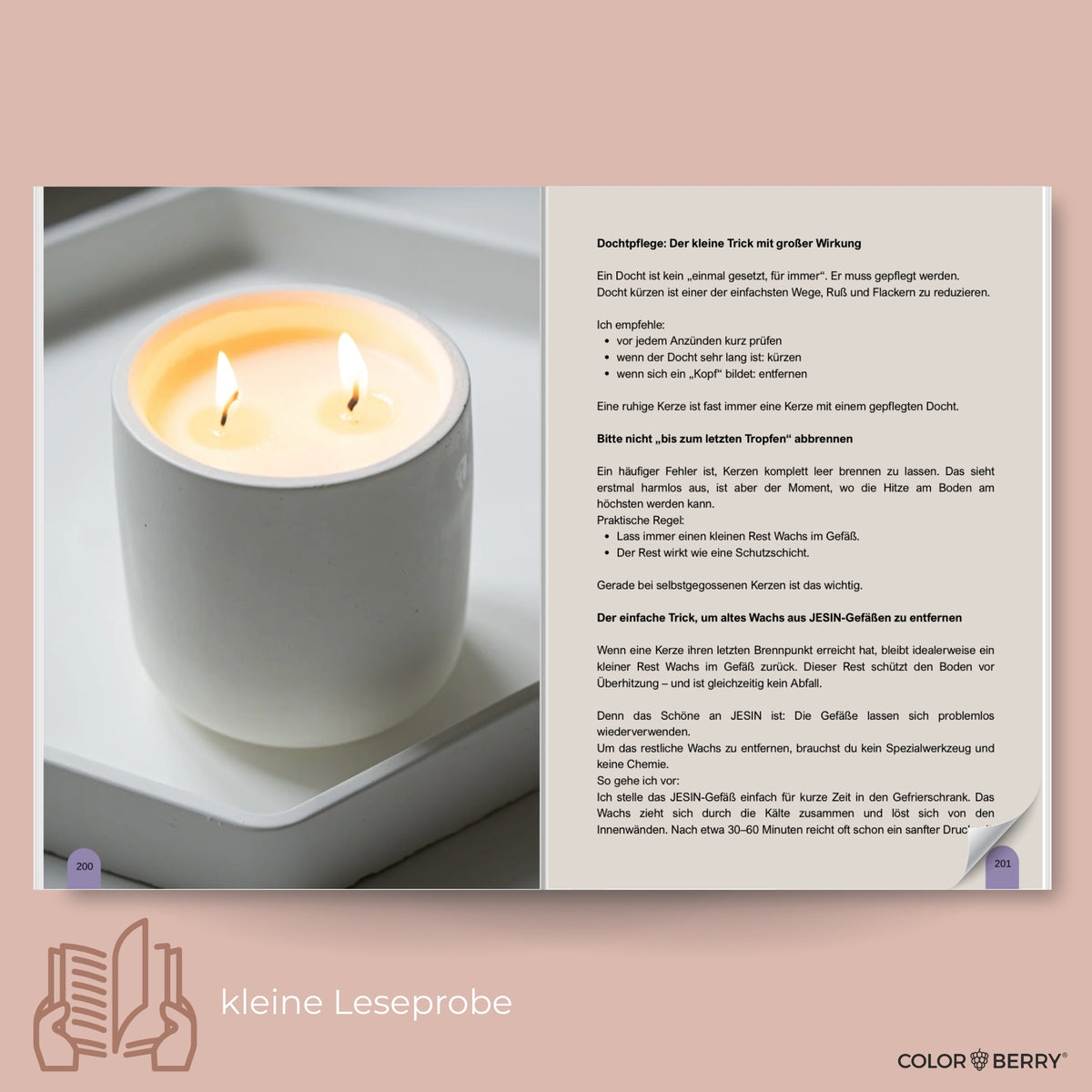JESIN DIY - Buch - Profi - Wissen, Basics und Projekte - COLORBERRY &amp; JESIN