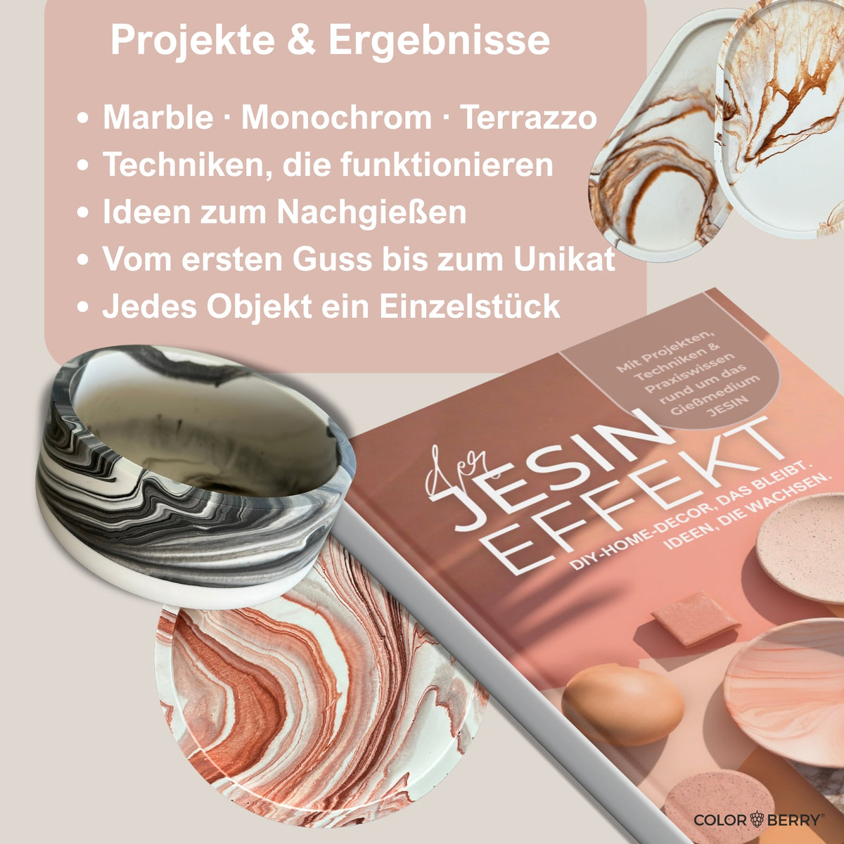 JESIN DIY - Buch - Profi - Wissen, Basics und Projekte - COLORBERRY &amp; JESIN