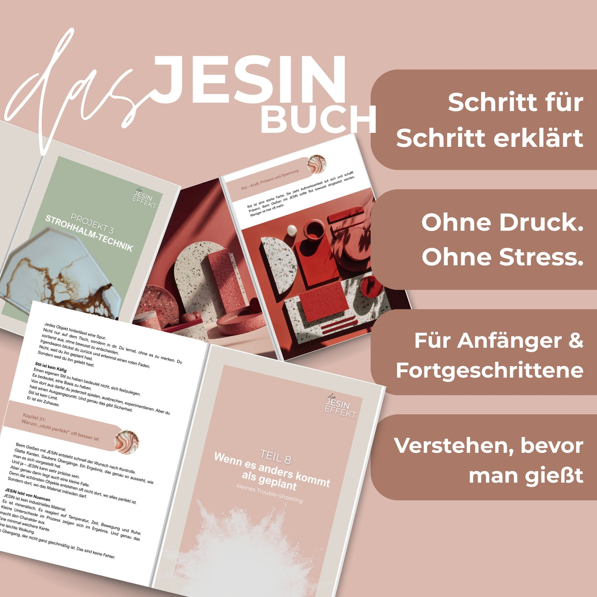JESIN DIY - Buch - Profi - Wissen, Basics und Projekte - COLORBERRY &amp; JESIN