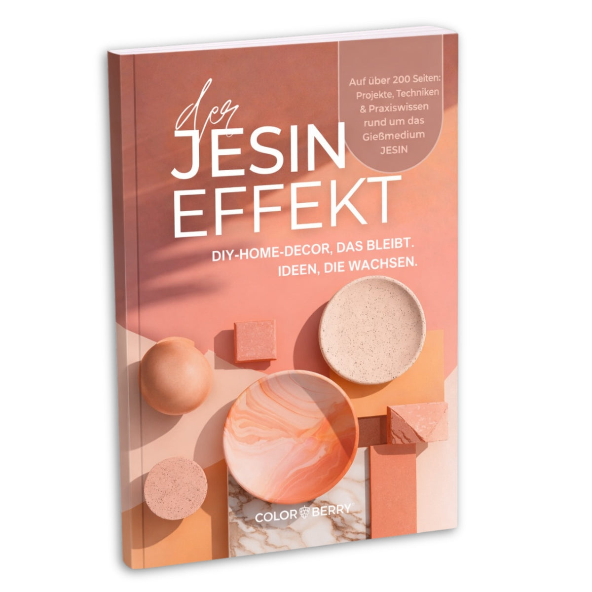 JESIN DIY - Buch - Profi - Wissen, Basics und Projekte - COLORBERRY &amp; JESIN
